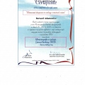 Powiększ obraz: certificate 6
