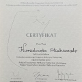 Powiększ obraz: certificate 45