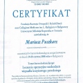Powiększ obraz: certificate 4