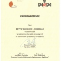 Powiększ obraz: certificate 5