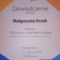 Powiększ obraz: certificate 2