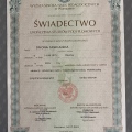 Powiększ obraz: certificate 2