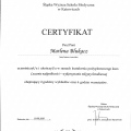 Powiększ obraz: certificate 11