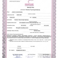 Powiększ obraz: certificate 3