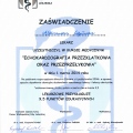 Powiększ obraz: certificate 3