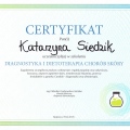 Powiększ obraz: certificate 31