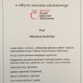 Powiększ obraz: certificate 4