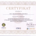 Powiększ obraz: certificate 1