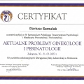 Powiększ obraz: certificate 28