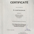 Powiększ obraz: certificate 25