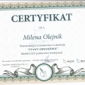 Powiększ obraz: certificate 19