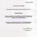 Powiększ obraz: certificate 32