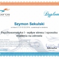 Powiększ obraz: certificate 7