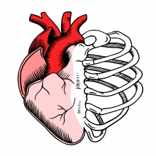 Z miłości do kości