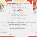 Powiększ obraz: certificate 2