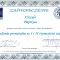 Powiększ obraz: certificate 5