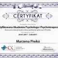 Powiększ obraz: certificate 15