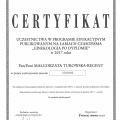 Powiększ obraz: certificate 10