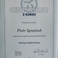 Powiększ obraz: certificate 20