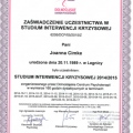 Powiększ obraz: certificate 5