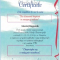 Powiększ obraz: certificate 3