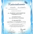 Powiększ obraz: certificate 29