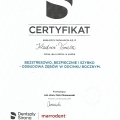 Powiększ obraz: certificate 3