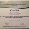 Powiększ obraz: certificate 2