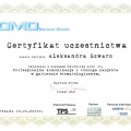 Powiększ obraz: certificate 38