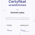 Powiększ obraz: certificate 100