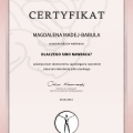 Powiększ obraz: certificate 6