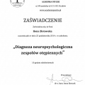 Powiększ obraz: certificate 2