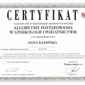 Powiększ obraz: certificate 11