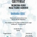 Powiększ obraz: certificate 4