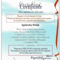 Powiększ obraz: certificate 9