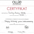 Powiększ obraz: certificate 17