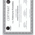 Powiększ obraz: certificate 8