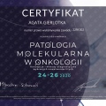 Powiększ obraz: certificate 95