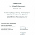 Powiększ obraz: certificate 7