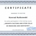 Powiększ obraz: certificate 2