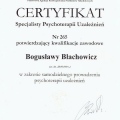 Powiększ obraz: certificate 2
