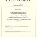 Powiększ obraz: certificate 13
