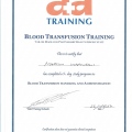 Powiększ obraz: certificate 12