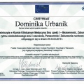 Powiększ obraz: certificate 5