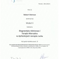 Powiększ obraz: certificate 25