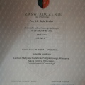 Powiększ obraz: certificate 24