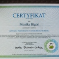 Powiększ obraz: certificate 26