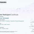 Powiększ obraz: certificate 13