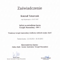 Powiększ obraz: certificate 2