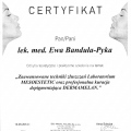Powiększ obraz: certificate 4
